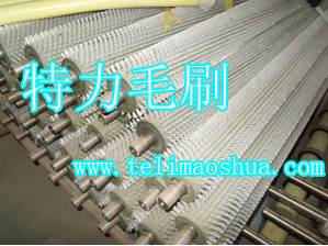 特力毛刷