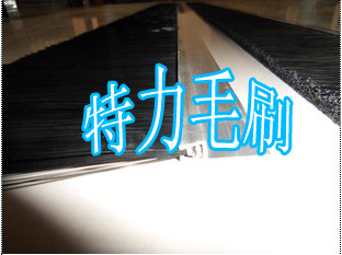安慶特力毛刷