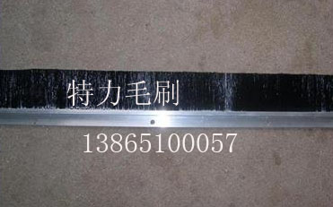 特力毛刷