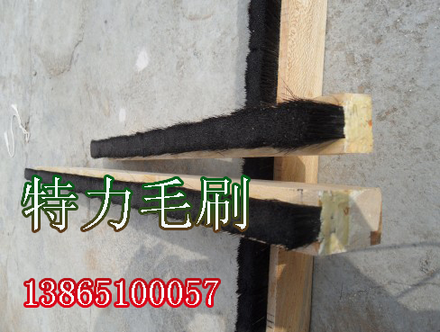 條形毛刷