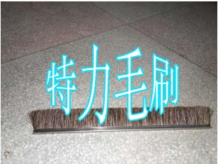 馬毛條刷,毛刷條,條形毛刷生產(chǎn),磚機(jī)條刷廠-安慶特力制刷廠